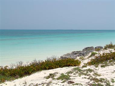 2004 Cuba, Cayo Ensenachos, DSC00853 B_B720